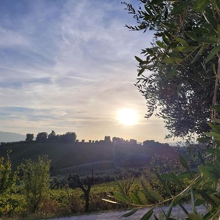אופידה Alchemilla Bed & Breakfast מראה חיצוני תמונה